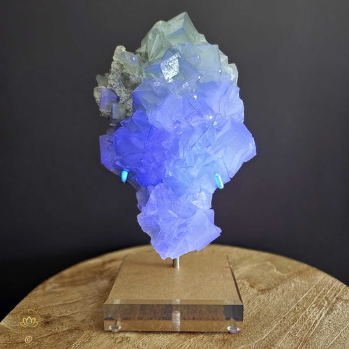 Green Cubed Fluorite | Emerald Enigma 4.2kgs