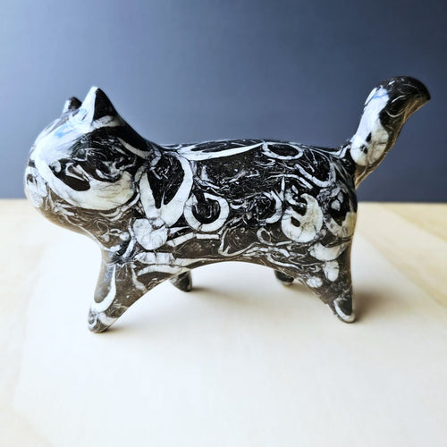 Guangxi Fossil Cat | Ancient Sea Companion