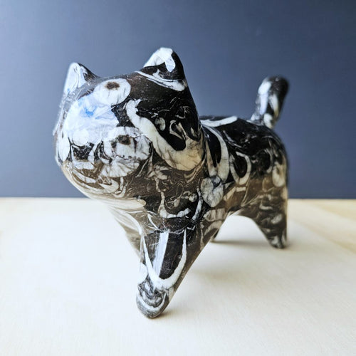 Guangxi Fossil Cat | Ancient Sea Companion