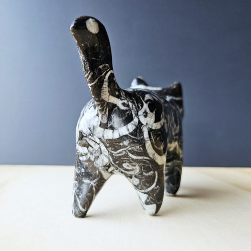 Guangxi Fossil Cat | Ancient Sea Companion