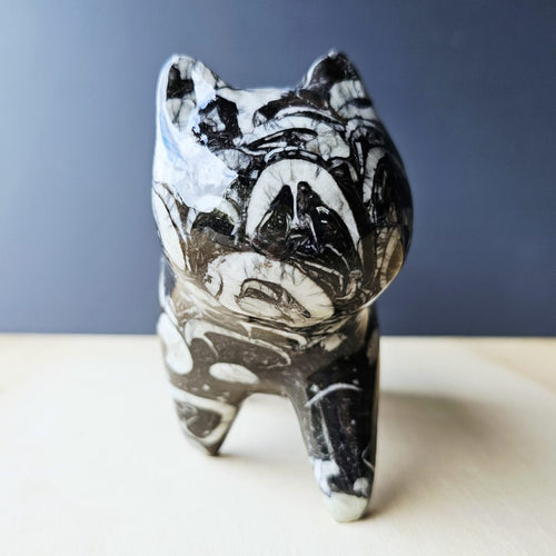 Guangxi Fossil Cat | Guardian Of Time