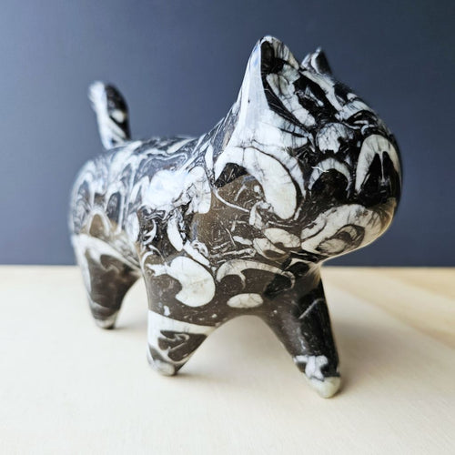 Guangxi Fossil Cat | Guardian Of Time