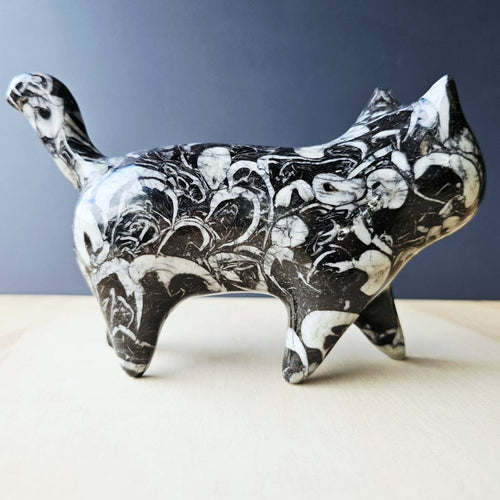 Guangxi Fossil Cat | Guardian Of Time