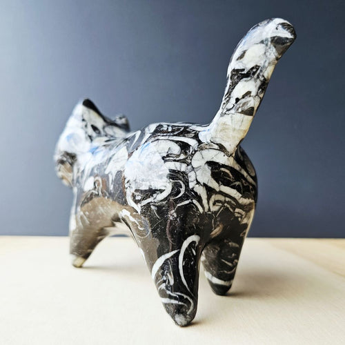 Guangxi Fossil Cat | Guardian Of Time