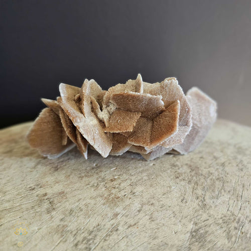 Gypsum Rose (Selenite) | Specimen 206gms