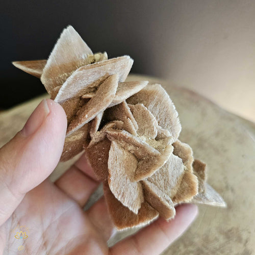 Gypsum Rose (Selenite) | Specimen 206gms