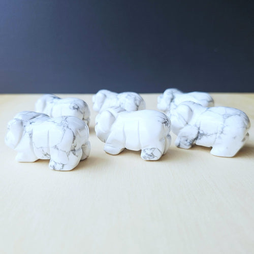 Howlite Pig | The Peaceful Prosperity Pig
