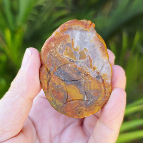 Hubei Agate Money Toad Carving | Hubei Spirit