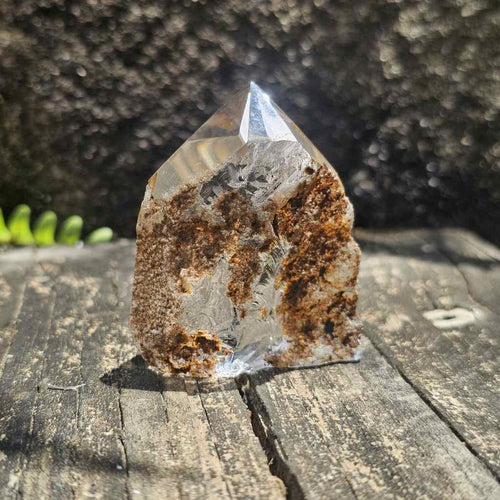 Inclusion Quartz Faceted Freeform | The Untamed Aspect