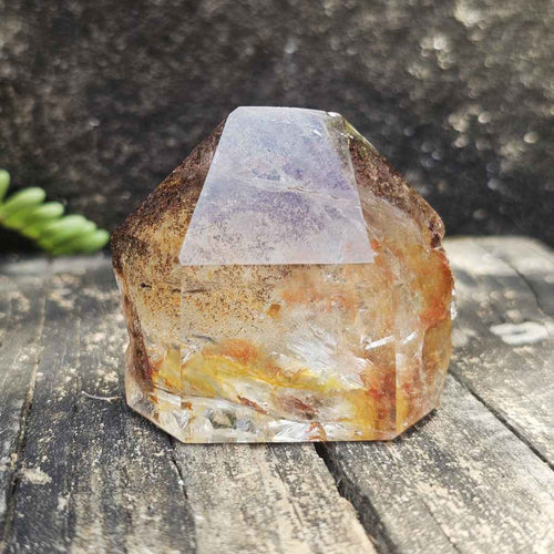 Inclusion Quartz Faceted Freeform | The Untamed Facet