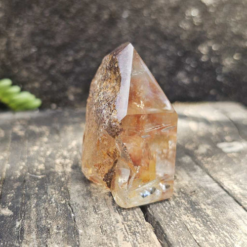 Inclusion Quartz Faceted Freeform | The Untamed Facet