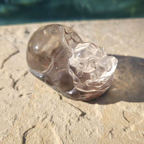 Inclusion Quartz Pixiu | Grounded In Energy
