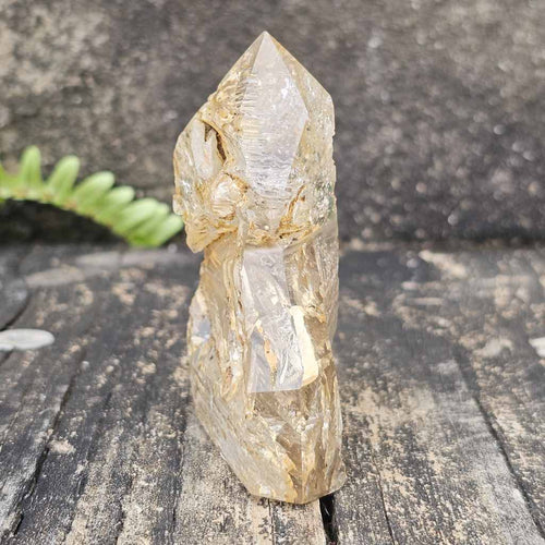 Inclusion Quartz With Enhydro | Generator 106gms