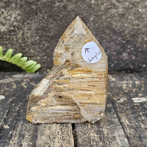 Inclusion Quartz With Enhydro | Generator 106gms