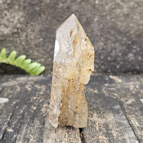 Inclusion Quartz With Enhydro | Generator 106gms