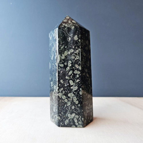 Kambaba Jasper Generator | 710gms