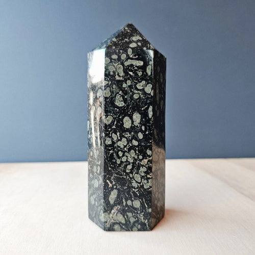 Kambaba Jasper Generator | 710gms