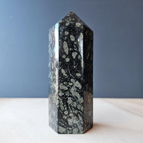 Kambaba Jasper Generator | 710gms