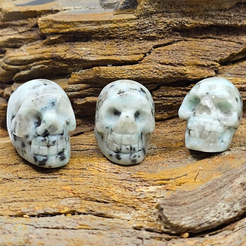 Kiwi Jasper | Mini Skulls