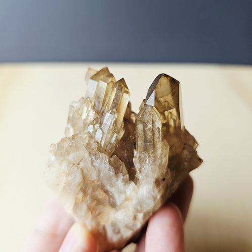 Kundalini Citrine Cluster | Solar Reign