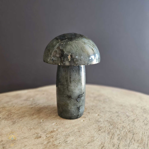 Labradorite | Mushroom 188gms