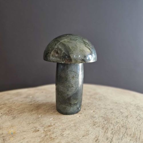 Labradorite | Mushroom 188gms