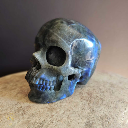 Labradorite Skull | Guardian of Your Realm 1.3kgs