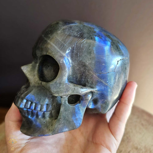 Labradorite Skull | Guardian of Your Realm 1.3kgs