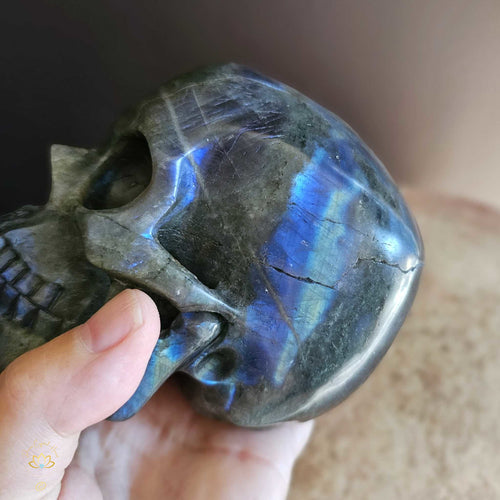 Labradorite Skull | Guardian of Your Realm 1.3kgs