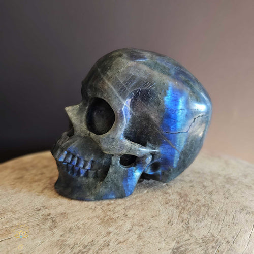 Labradorite Skull | Guardian of Your Realm 1.3kgs