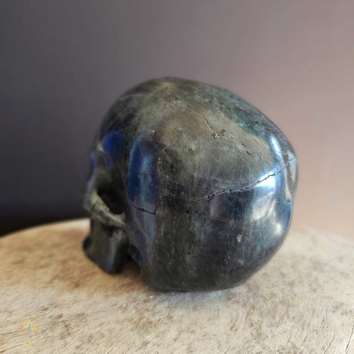 Labradorite Skull | Guardian of Your Realm 1.3kgs