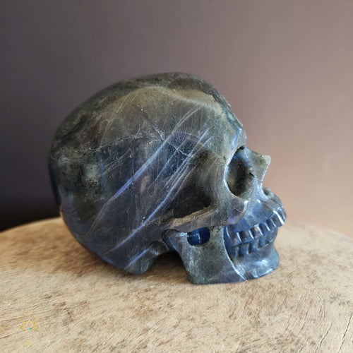 Labradorite Skull | Guardian of Your Realm 1.3kgs