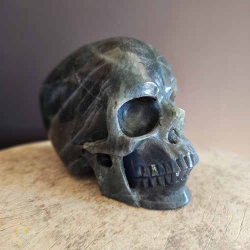 Labradorite Skull | Guardian of Your Realm 1.3kgs