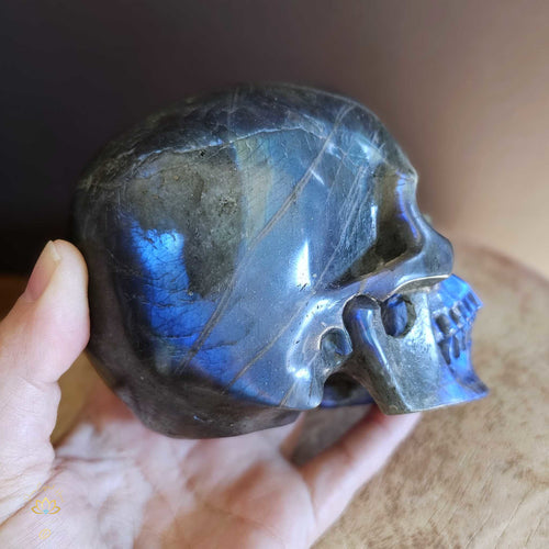 Labradorite Skull | Guardian of Your Realm 1.3kgs