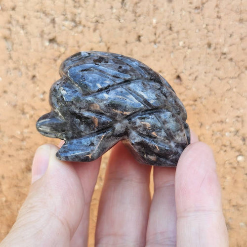 Larvikite Hedgehogs | Silverback Guardian