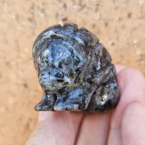 Larvikite Hedgehogs | Silverback Guardian