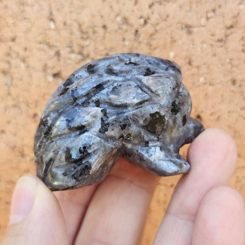 Larvikite Hedgehogs | Silverback Guardian