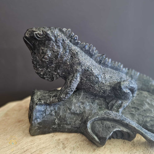 Yooperlite Lounging Lizard | 1.66kgs