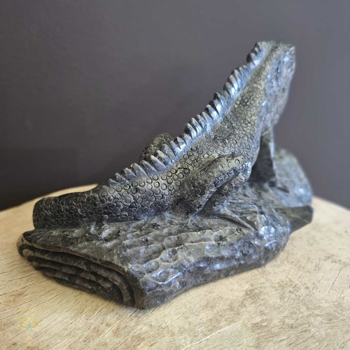 Yooperlite Lounging Lizard | 1.66kgs