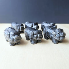 Larvikite Pig | Mystic Stone Pig
