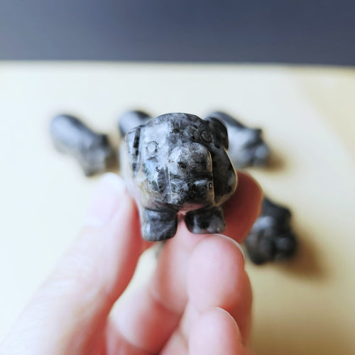 Larvikite Pig | Mystic Stone Pig
