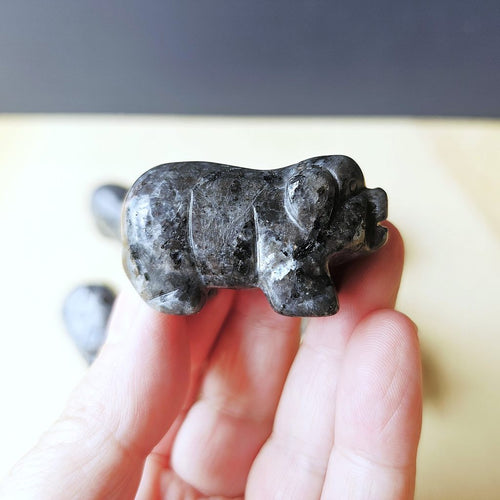 Larvikite Pig | Mystic Stone Pig
