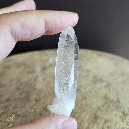 Lemurian Quartz | Light Language 24gms