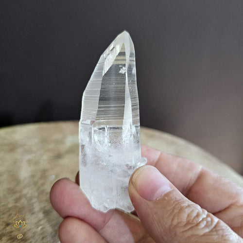 Lemurian Quartz | Seeker Of Truth 55gms