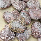 Leopard Skin Jasper Hearts | Wild At Heart
