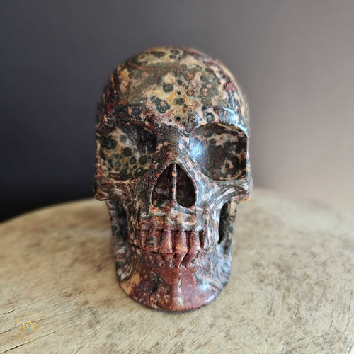 Leopard Skin Jasper Skull | Majestic Shaman