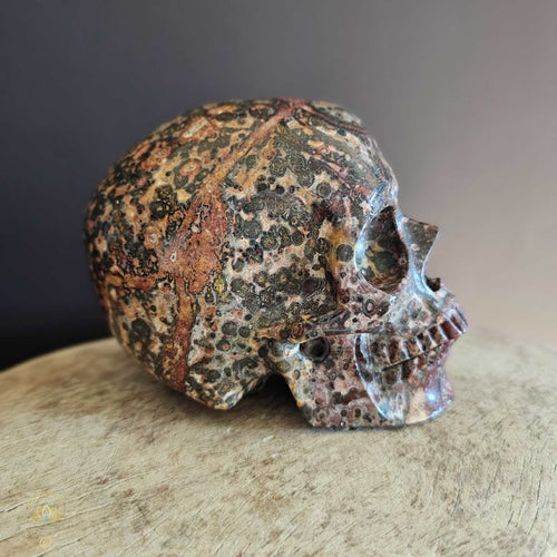 Leopard Skin Jasper Skull | Majestic Shaman