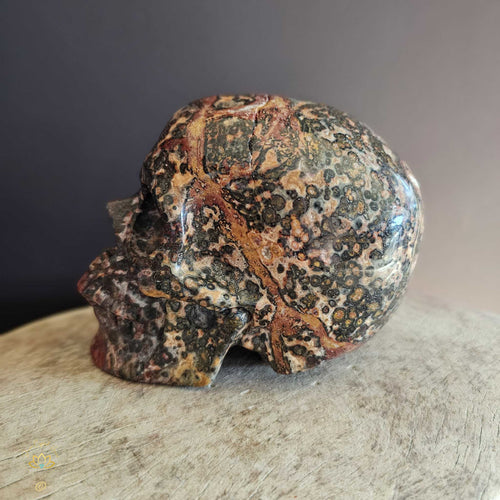 Leopard Skin Jasper Skull | Majestic Shaman