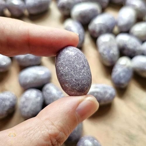 Lepidolite Mica Tumbled Stones