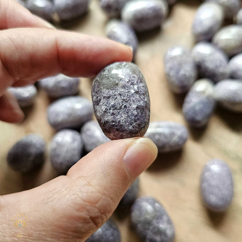 Lepidolite Mica Tumbled Stones